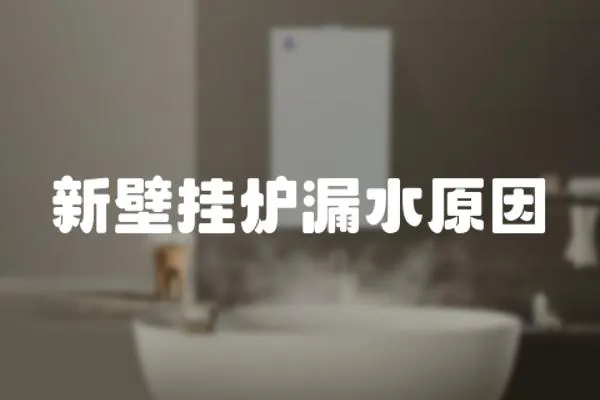 新壁掛爐漏水原因