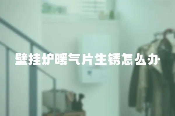 壁掛爐暖氣片生銹怎么辦