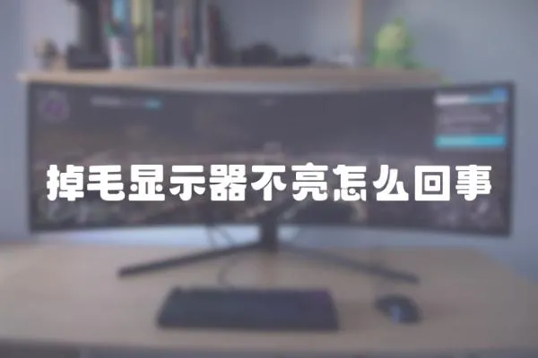 掉毛顯示器不亮怎么回事