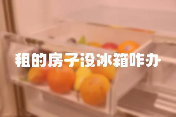 租的房子沒冰箱咋辦