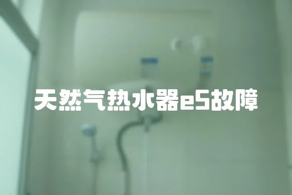 天然氣熱水器e5故障