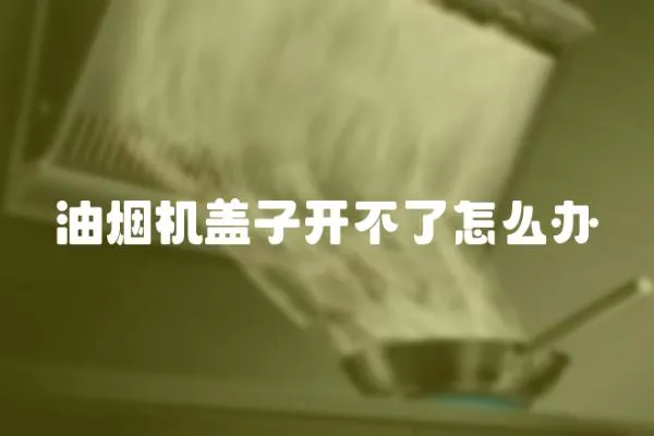 油煙機(jī)蓋子開不了怎么辦