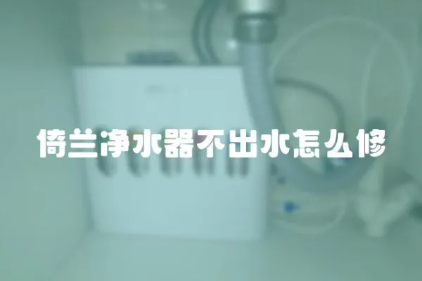 倚蘭凈水器不出水怎么修