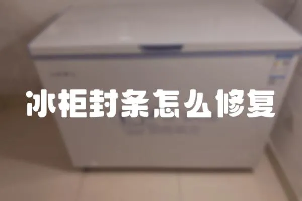 冰柜封條怎么修復(fù)