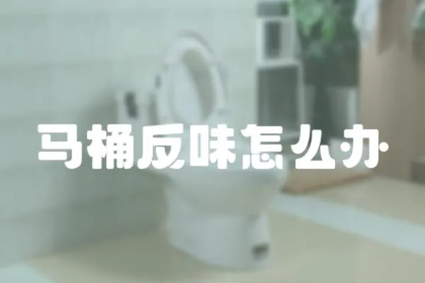 馬桶反味怎么辦