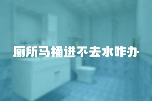 廁所馬桶進不去水咋辦