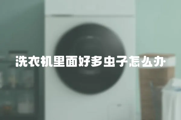 洗衣機里面好多蟲子怎么辦