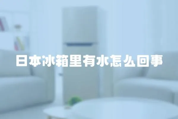 日本冰箱里有水怎么回事