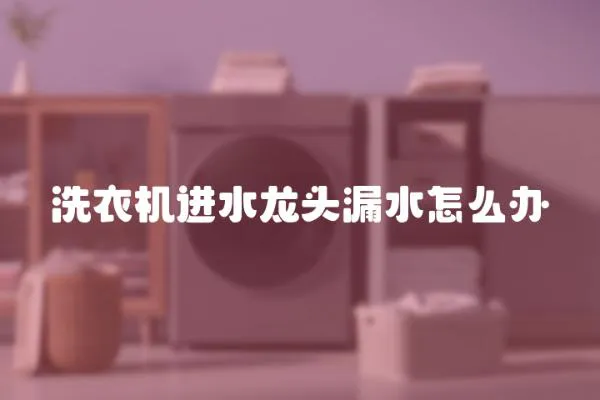 洗衣機進水龍頭漏水怎么辦