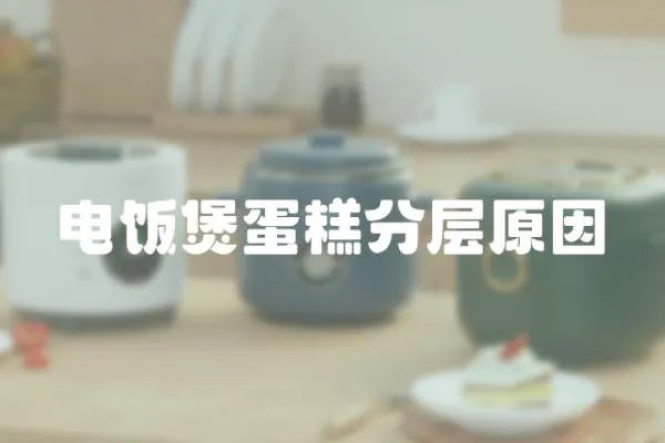 電飯煲蛋糕分層原因