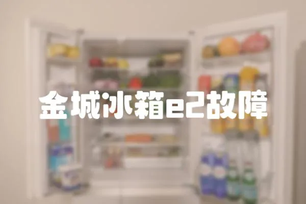 金城冰箱e2故障