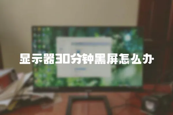 顯示器30分鐘黑屏怎么辦