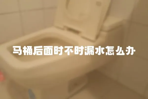 馬桶后面時不時漏水怎么辦