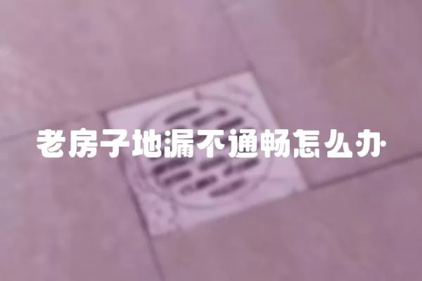 老房子地漏不通暢怎么辦