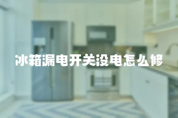 冰箱漏電開關沒電怎么修