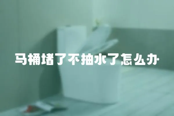 馬桶堵了不抽水了怎么辦