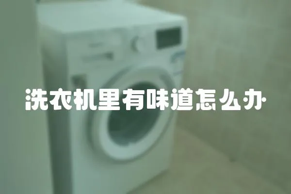 洗衣機里有味道怎么辦