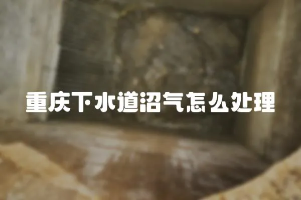 重慶下水道沼氣怎么處理