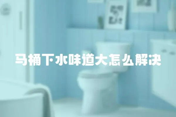 馬桶下水味道大怎么解決