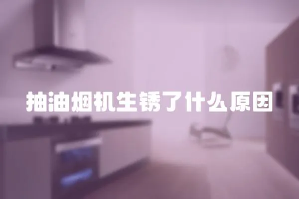 抽油烟机生锈了什么原因