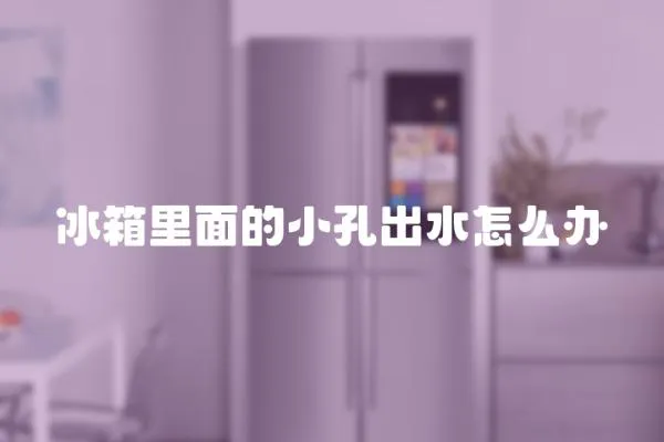 冰箱里面的小孔出水怎么辦