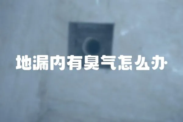 地漏內有臭氣怎么辦