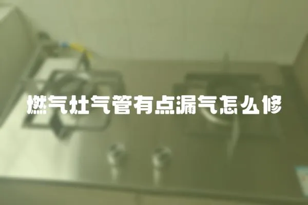 燃氣灶氣管有點漏氣怎么修