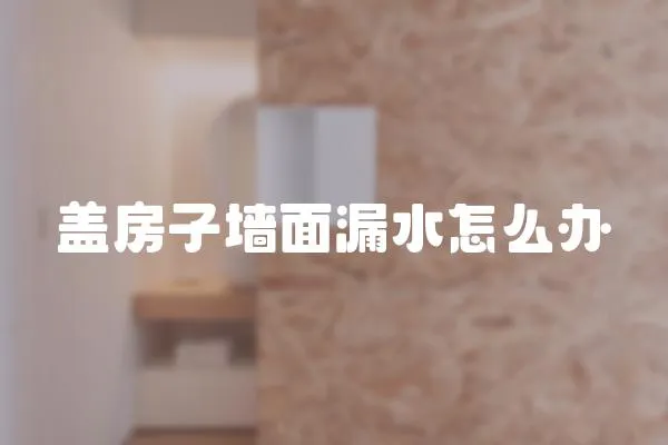 蓋房子墻面漏水怎么辦