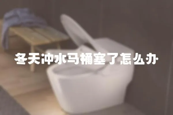 冬天沖水馬桶塞了怎么辦