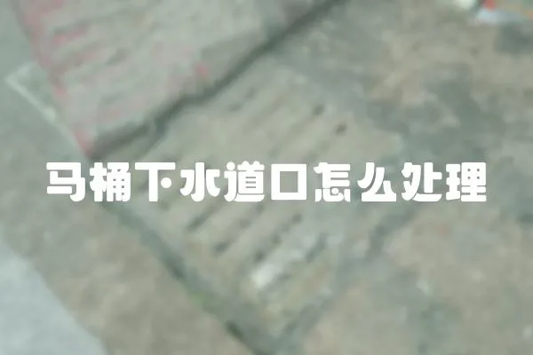 馬桶下水道口怎么處理