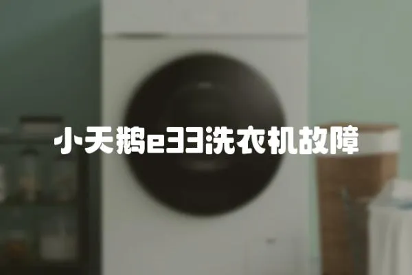 小天鵝e33洗衣機故障