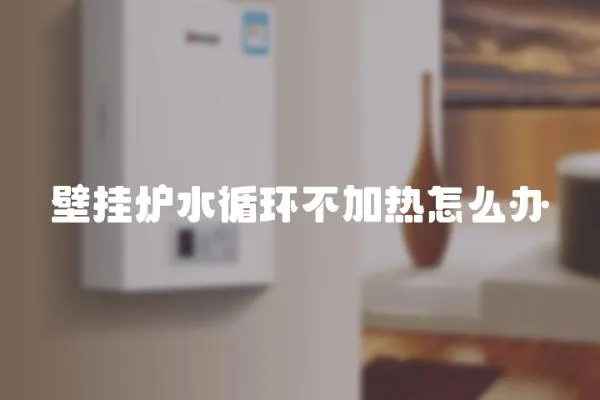 壁掛爐水循環不加熱怎么辦