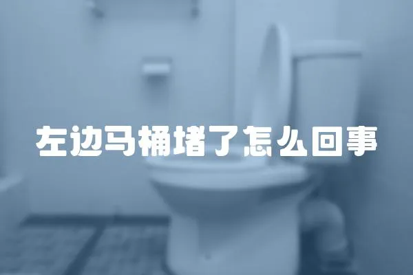 左邊馬桶堵了怎么回事