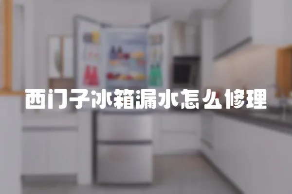 西門子冰箱漏水怎么修理