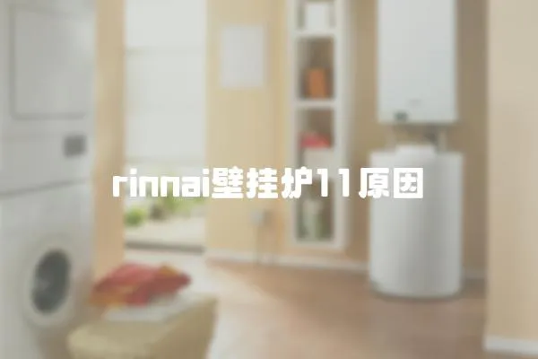 rinnai壁挂炉11原因