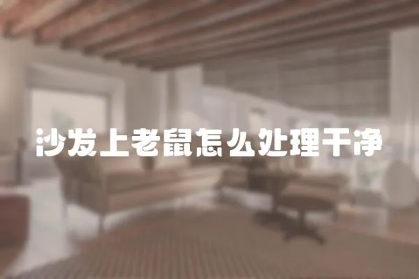 沙發上老鼠怎么處理干凈