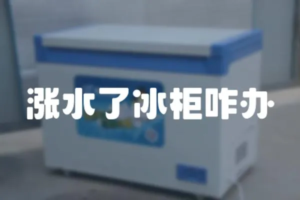 漲水了冰柜咋辦