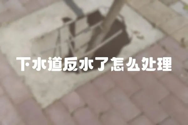 下水道反水了怎么處理