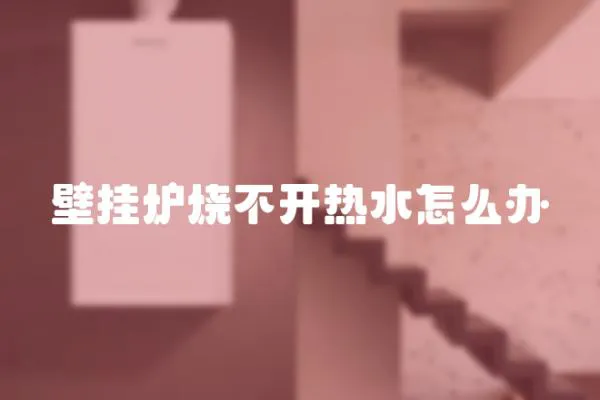 壁掛爐燒不開(kāi)熱水怎么辦