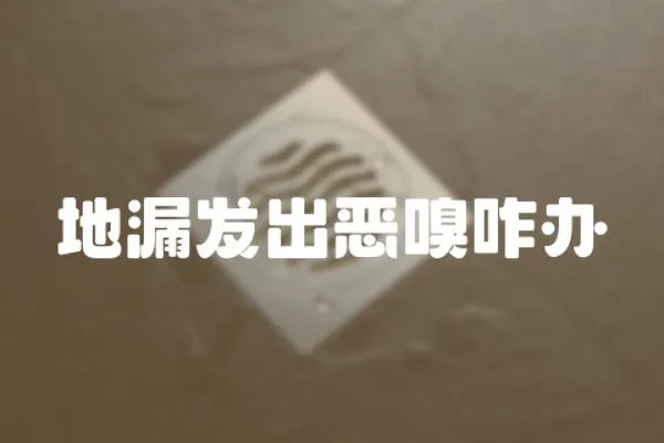 地漏發出惡嗅咋辦