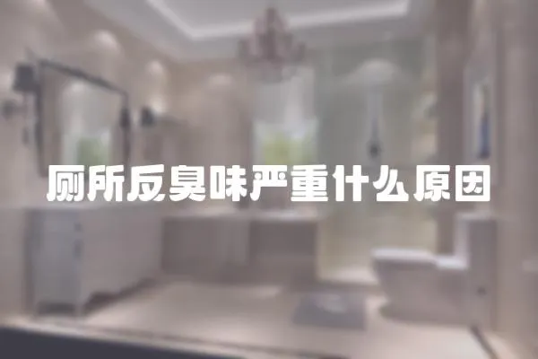 廁所反臭味嚴(yán)重什么原因