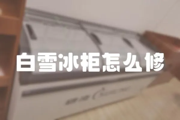 白雪冰柜怎么修