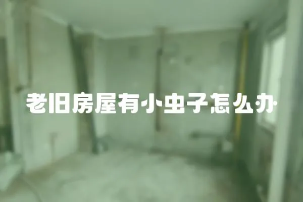 老舊房屋有小蟲子怎么辦