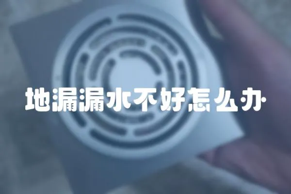 地漏漏水不好怎么辦