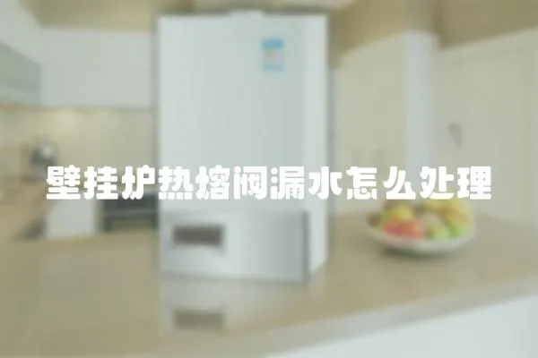 壁掛爐熱熔閥漏水怎么處理