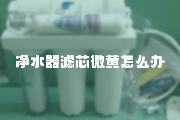 凈水器濾芯微黃怎么辦