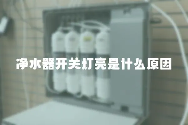 凈水器開關燈亮是什么原因