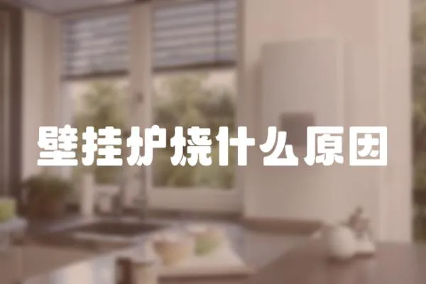 壁掛爐燒什么原因