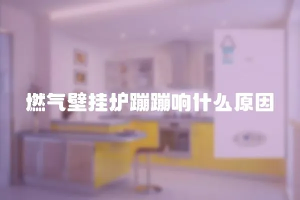 燃氣壁掛爐蹦蹦響什么原因