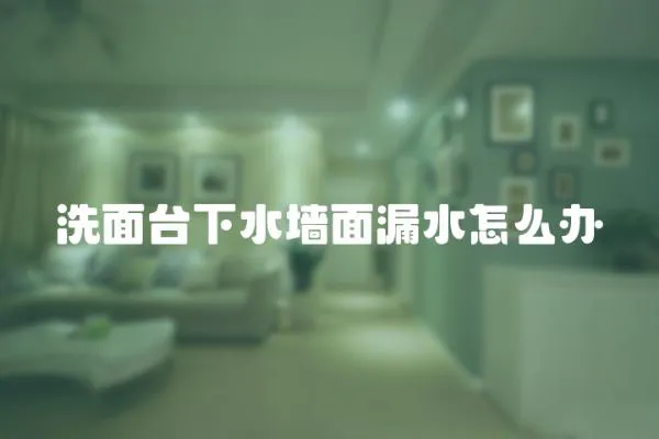 洗面臺下水墻面漏水怎么辦